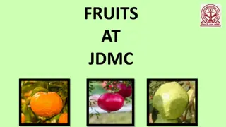 Fascinating Fruits Found at Janki Devi Memorial College (University of Delhi)