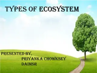 Exploring the Major Types of Ecosystems
