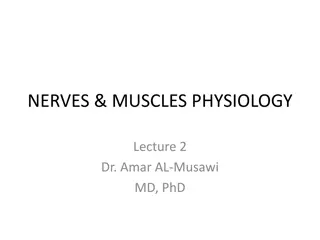 Nerves and Muscles Physiology: Lecture Insights by Dr. Amar AL-Musawi MD, PhD