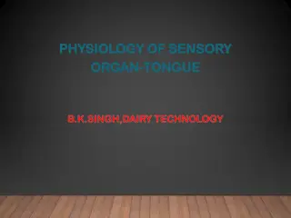 The Physiology of the Sensory Organ - Tongue by B.K. Singh