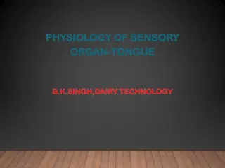 Understanding the Physiology of the Sensory Organ - Tongue by B.K. Singh