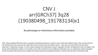 Genetic Assessment of CNV.J on Chromosome 3q28 - Case Study J