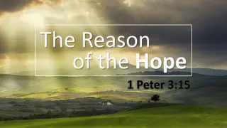 The Reason of the Hope - Reflections on Suffering and Comfort