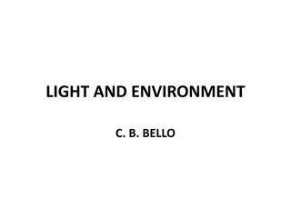 Essential Factors for Optimal Lighting in Work Environments
