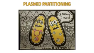 Plasmid Partitioning Mechanisms in Bacteria