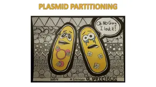 Understanding Plasmid Partitioning Mechanisms in Bacteria