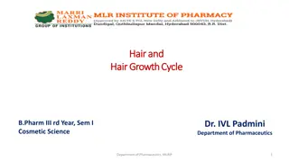 The Hair Growth Cycle and Structure