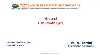 Understanding the Hair Growth Cycle and Structure