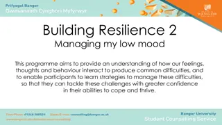 Managing Low Mood for Resilience Building