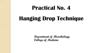 Microbiology Study: Hanging Drop Technique in Department of Microbiology, College of Medicine