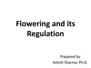 Insights into Flowering and Floral Development in Plants