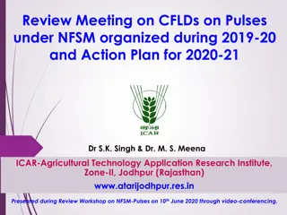 Review Meeting on CFLDs on Pulses under NFSM - Summary and Action Plan