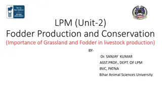 Importance of Green Fodder in Livestock Production by Dr. Sanjay Kumar