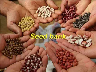 The Importance of Seed Banks in Ecosystems