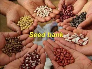 Understanding the Importance of Seed Banks in Ecosystems