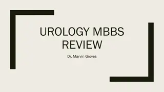 Case Review: Diagnostic Dilemma in Urology - Management Approach for a Patient with Abdominal Pain and Fever