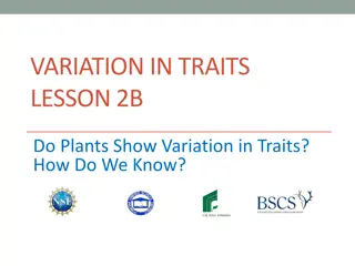 Exploring Plant Traits: Do Plants Exhibit Variation in Traits?