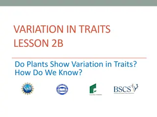 Plant Traits: Do Plants Exhibit Variation in Traits?