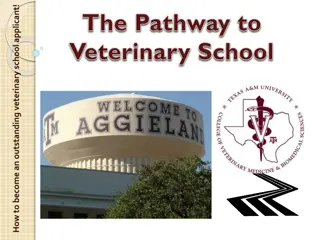 Ultimate Guide to Becoming an Outstanding Veterinary School Applicant