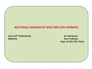 Bacterial Diseases Impacting Wild and Zoo Animals: An Overview