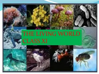 Understanding the Characteristics of Living Organisms