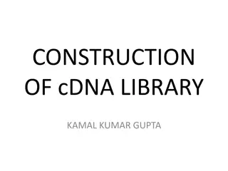 Understanding the Construction of cDNA Library by Kamal Kumar Gupta