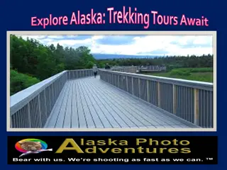 Explore Alaska: Trekking Tours Await