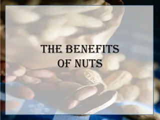 The Nutty Benefits: How Nuts Are Powerhouses of Health