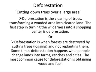 Understanding Deforestation: Causes, Impact, and Solutions