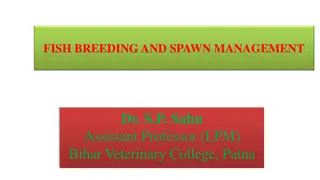 Fish Breeding and Spawn Management Techniques by Dr. S.P. Sahu