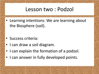 Understanding Podzol Formation in the Biosphere