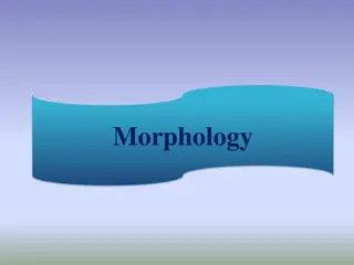 Morphology: Word Structure and Morphemes