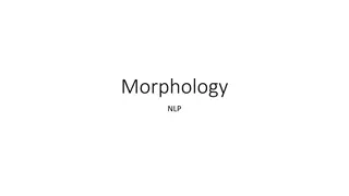 Morphology in Linguistics