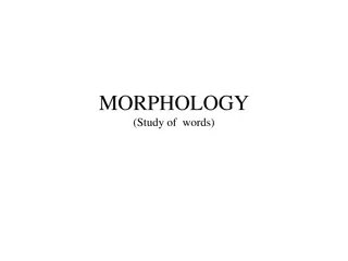 Morphology: The Study of Words and Morphemes