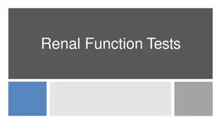 Renal Function Tests and Kidney Health