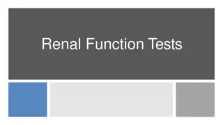 Understanding Renal Function Tests and Kidney Health