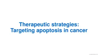 Understanding Therapeutic Strategies Targeting Apoptosis in Cancer