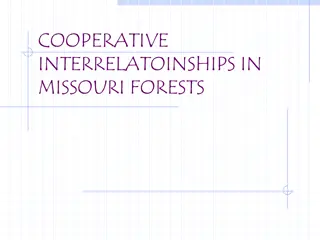 Exploring Symbiotic Relationships in Missouri Forest Ecosystems