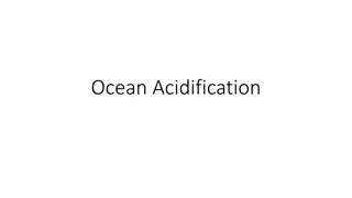 Ocean Acidification: Impact on Coral Reefs