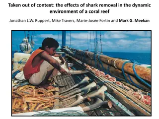 Impacts of Shark Removal on Coral Reef Dynamics