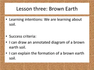 Brown Earth Soil Formation in Temperate Broadleaved Forests