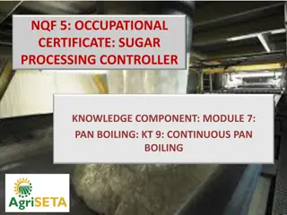 Continuous Pan Boiling in Sugar Processing