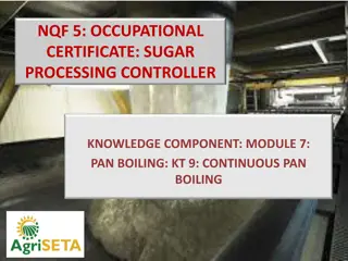 Understanding Continuous Pan Boiling in Sugar Processing
