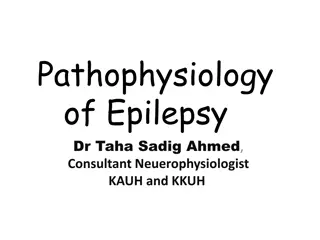 The Pathophysiology of Epilepsy and Seizures