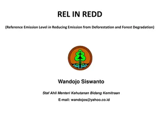 Understanding Reference Emission Level in REDD