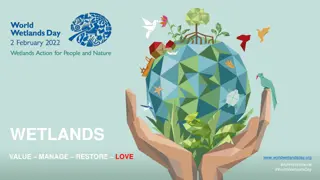 World Wetlands Day 2022: Taking Action for Wetlands Conservation