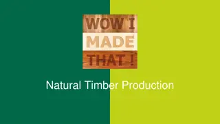 Timber Production: Types, Classification, and Sustainability