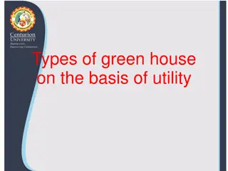 Different Types of Greenhouses Based on Utility and Construction