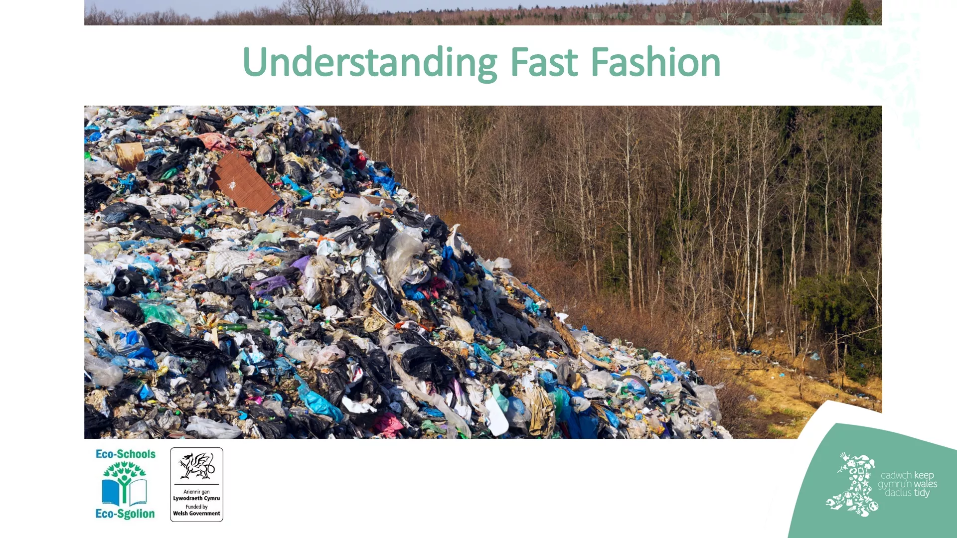 Understanding Fast Fashion