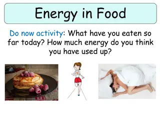 Energy in Food and Daily Activities